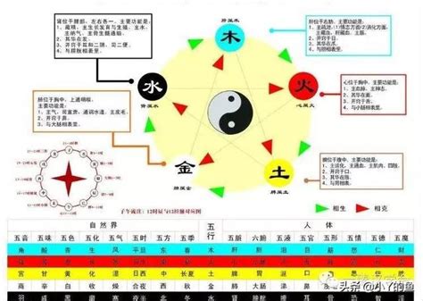 天干 陰陽|八字基礎教學,陰陽,五行,干支,廿四節氣（20分鐘了解）